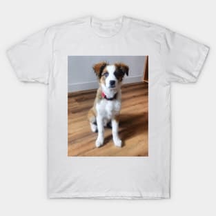 Charly Australian Shepherd Mix T-Shirt